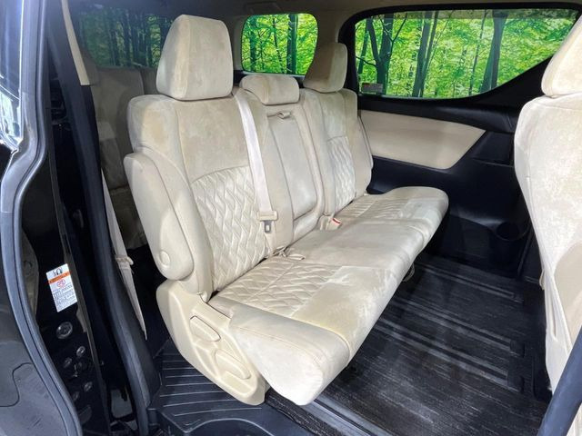 �㕔���Ȃ��C�ɂȂ�悤�ȃL�Y�E�����ւ��蓙�A�傫�ȃ_���[�W�͂Ȃ��A�ǍD�ȏ�Ԃł��B