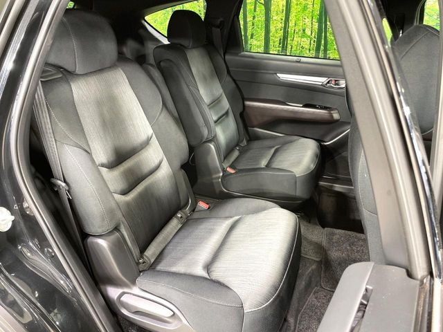 �㕔���Ȃ��C�ɂȂ�悤�ȃL�Y�E�����ւ��蓙�A�傫�ȃ_���[�W�͂Ȃ��A�ǍD�ȏ�Ԃł��B