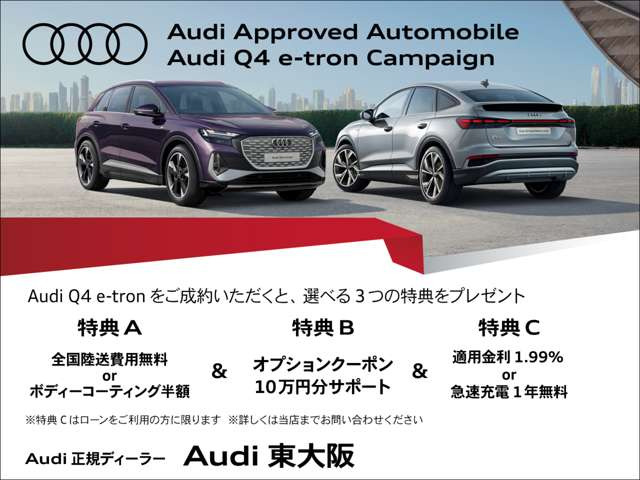 Q4 e-tron45 Sライン