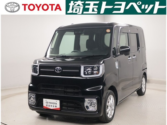 ピクシスメガL レジャーエディション SAIII