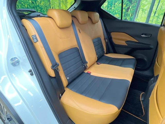 �㕔���Ȃ��C�ɂȂ�悤�ȃL�Y�E�����ւ��蓙�A�傫�ȃ_���[�W�͂Ȃ��A�ǍD�ȏ�Ԃł��B