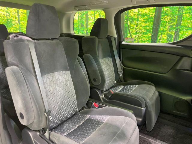 �㕔���Ȃ��C�ɂȂ�悤�ȃL�Y�E�����ւ��蓙�A�傫�ȃ_���[�W�͂Ȃ��A�ǍD�ȏ�Ԃł��B