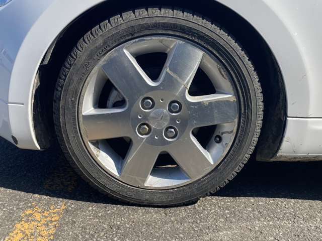 ���X�͎Ԃ̕i���Ɏ��M�������Ă��܂�!�Ȃ̂ŁA���܂��܂Ȋp�x����70���ȏ�̂��ʐ^�ڂ��Ă��܂��B