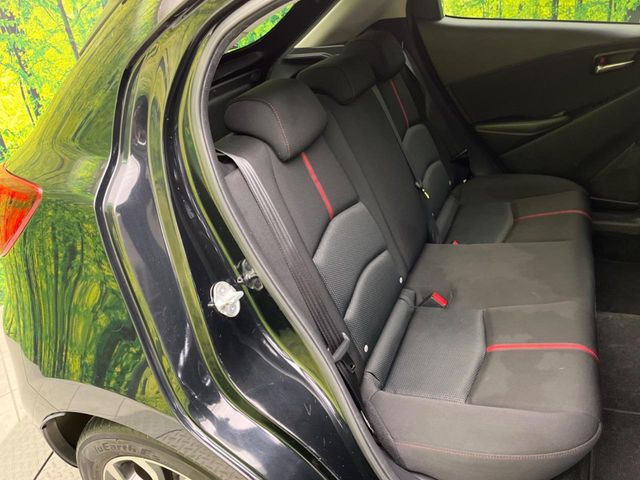 �㕔���Ȃ��C�ɂȂ�悤�ȃL�Y�E�����ւ��蓙�A�傫�ȃ_���[�W�͂Ȃ��A�ǍD�ȏ�Ԃł��B