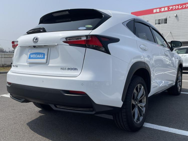 NX300h Fスポーツ
