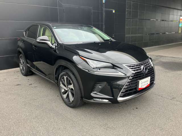 NX300h バージョンL