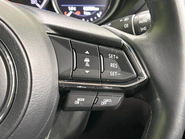 �y�}�c�_�E���[�_�[�N���[�Y�R���g���[���z�������H�ł̒��������s���y��!�����ő��x��ۂN���[�Y�R���g���[�����A�Փˌy���V�X�e���ƘA�g���A�O���̎ԗ������m���ĎԊԂ�ۂ悤�ɑ��x���߂��Ă���܂�!!