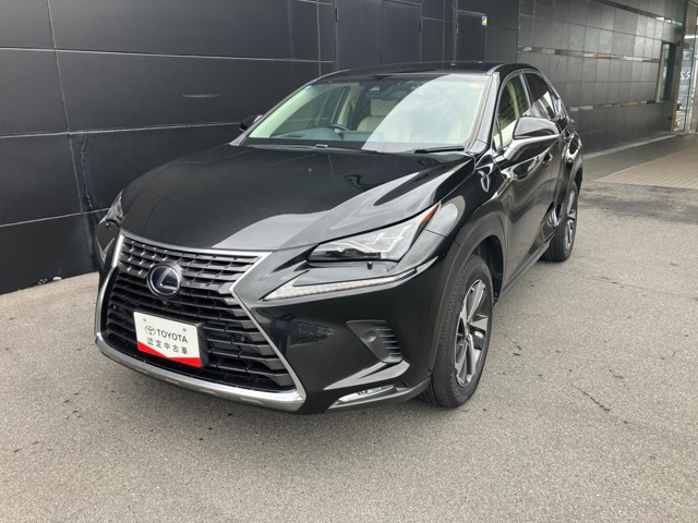 NX300h バージョンL