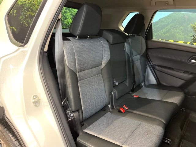 �㕔���Ȃ��C�ɂȂ�悤�ȃL�Y�E�����ւ��蓙�A�傫�ȃ_���[�W�͂Ȃ��A�ǍD�ȏ�Ԃł��B