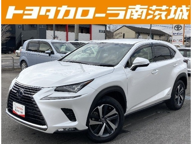 NX300h Iパッケージ