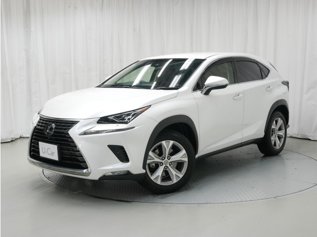 NX300 バージョンL 4WD