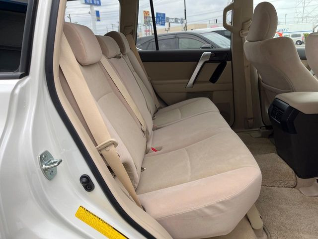 �㕔���Ȃ��C�ɂȂ�悤�ȃL�Y�E�����ւ��蓙�A�傫�ȃ_���[�W�͂Ȃ��A�ǍD�ȏ�Ԃł��B