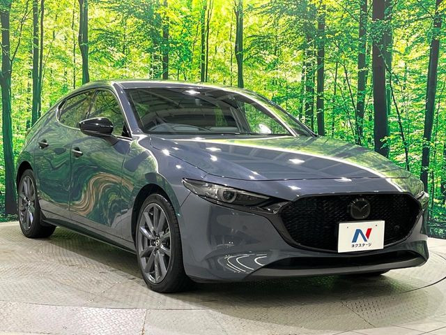 �����ւ̂��[�Ԃ������Ă���܂��B�ꕔ�n��������A�S�������[�ԉ\�ł��̂ł��C�y�ɂ����k����������