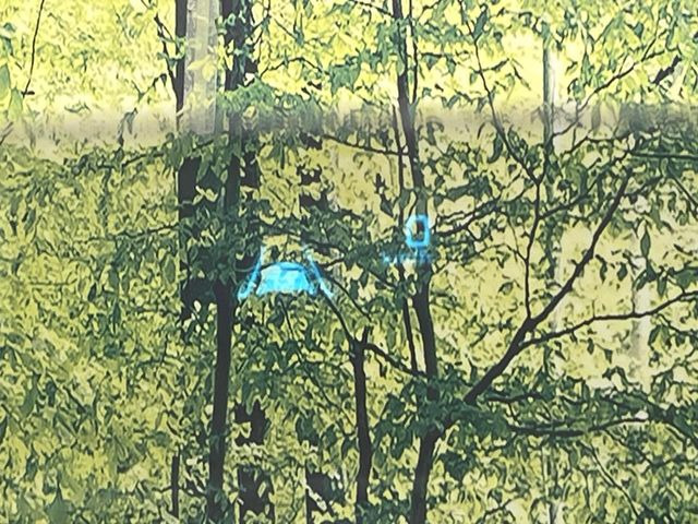 �y�w�b�h�A�b�v�f�B�X�v���C�z���݂̑��x�⑖�s�����f�W�^���\���ŉ^�]�ȑO���̃K���X�ɓ��e!�^�]���A�ڐ������炳���K�v�ȏ����m�F�ł���̂łƂ��Ă��֗��ň��S!