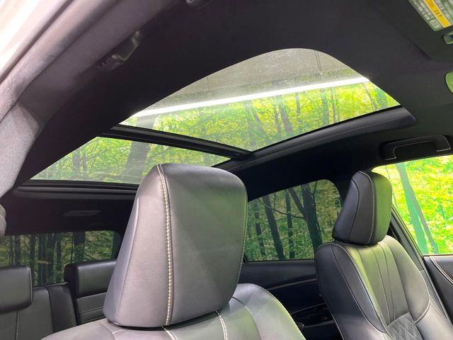 �y��^�T�����[�t�z�ԓ��̉��������C�ɏオ���^�̃p�m���}���[�t!�G�߂��킸�J���I�ŉ��K�ȃh���C�u�����y���݂��������܂��B���ʗʂ����Ȃ��󏭉��l�̍����l�C�̑����ł���