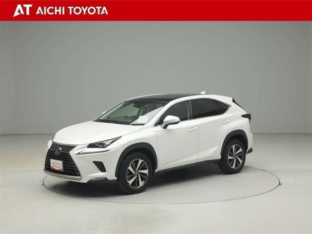 NX300 Iパッケージ