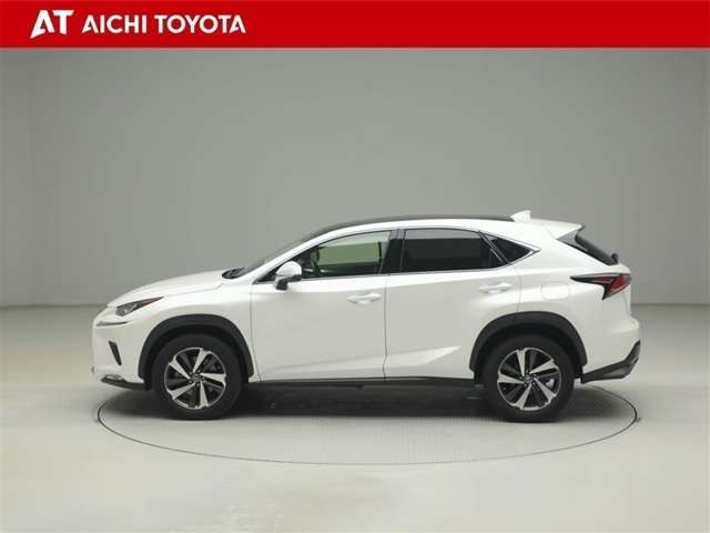 NX300 Iパッケージ