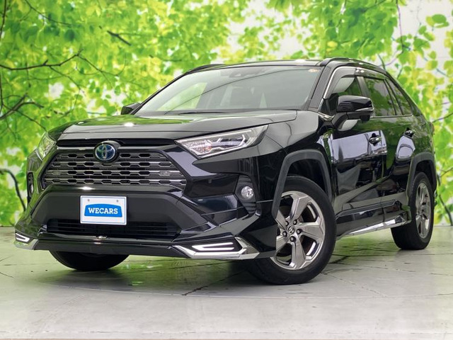 RAV42.5 ハイブリッド G E-Four 4WD