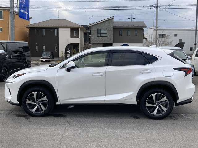 NX300h Iパッケージ