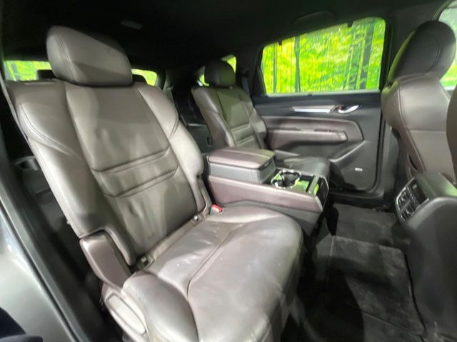 �㕔���Ȃ��C�ɂȂ�悤�ȃL�Y�E�����ւ��蓙�A�傫�ȃ_���[�W�͂Ȃ��A�ǍD�ȏ�Ԃł��B