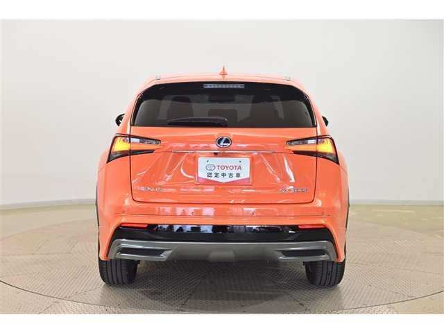 NX300h Fスポーツ