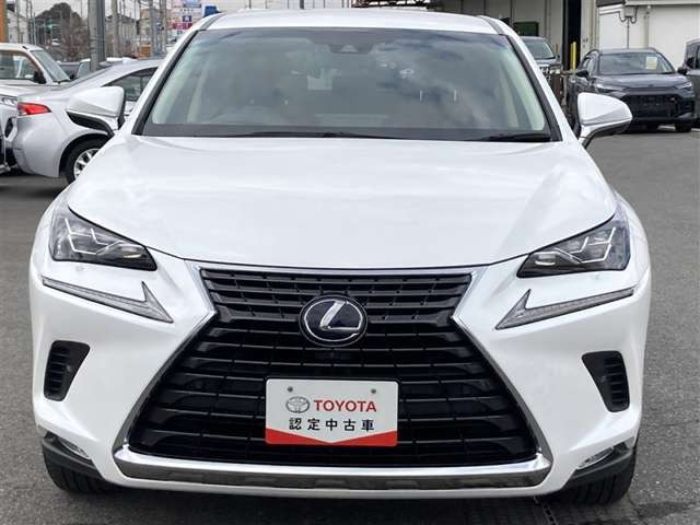 NX300h Iパッケージ