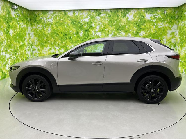 CX-302.0 20S ブラックトーンエディション