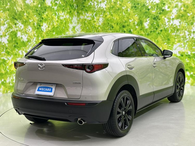 CX-302.0 20S ブラックトーンエディション