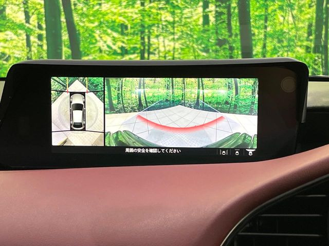 �y360&deg;�r���[���j�^�[�z��p�̃J�����ɂ��A�ォ�猩���낵���悤�Ȏ��_��360�x�N���}�̎��͂��m�F���邱�Ƃ��ł��܂������p�������m�F���₷���A�����ꏊ�ł̐؂�Ԃ��⒓�Ԃ��X���[�Y�ɍs���܂��B