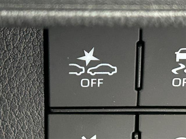 ムーヴキャンバスストライプス G