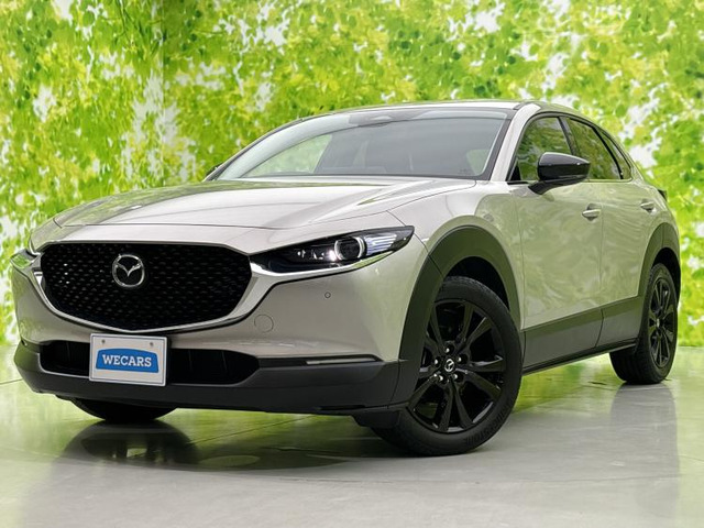 CX-302.0 20S ブラックトーンエディション