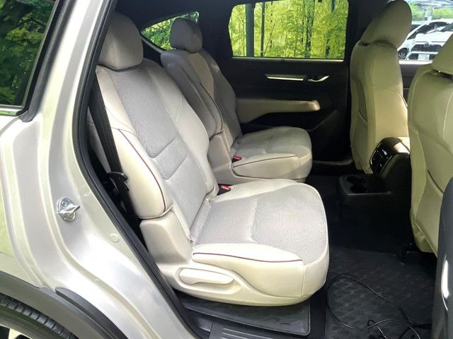 �㕔���Ȃ��C�ɂȂ�悤�ȃL�Y�E�����ւ��蓙�A�傫�ȃ_���[�W�͂Ȃ��A�ǍD�ȏ�Ԃł��B