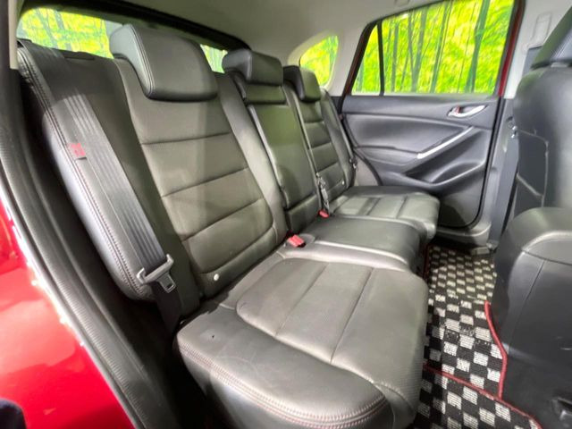 �㕔���Ȃ��C�ɂȂ�悤�ȃL�Y�E�����ւ��蓙�A�傫�ȃ_���[�W�͂Ȃ��A�ǍD�ȏ�Ԃł��B