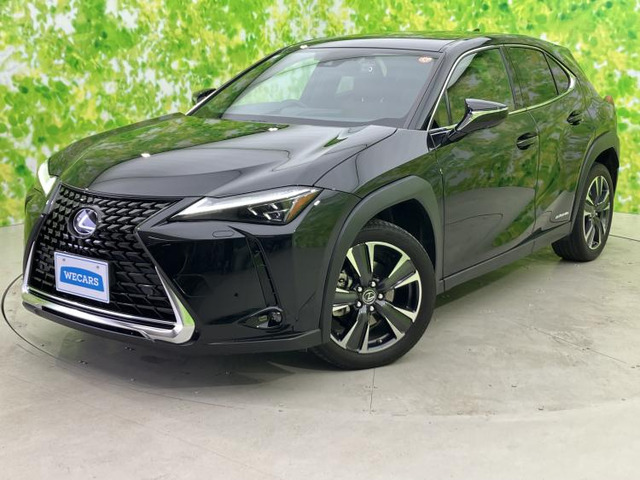 UX250h バージョンL