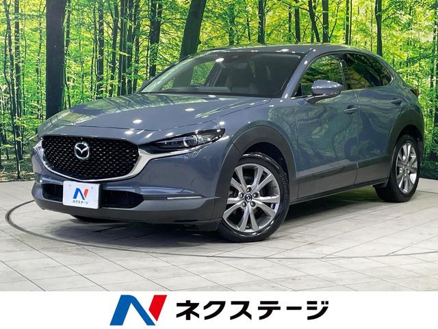 CX-30（マツダ）2.0 20S プロアクティブ ツーリングセレクション 中古車画像