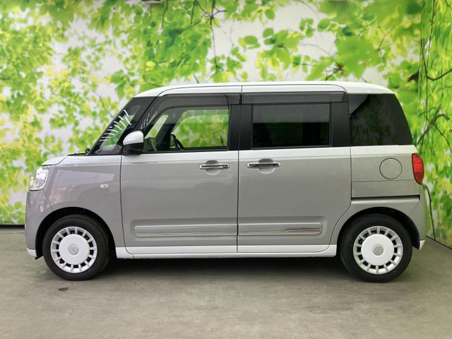 ムーヴキャンバスストライプス G