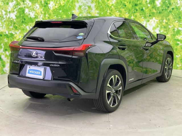 UX250h バージョンL