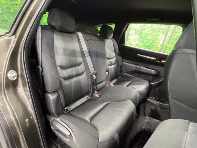 �㕔���Ȃ��C�ɂȂ�悤�ȃL�Y�E�����ւ��蓙�A�傫�ȃ_���[�W�͂Ȃ��A�ǍD�ȏ�Ԃł��B