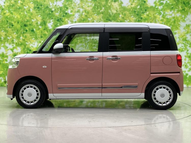 ムーヴキャンバスストライプス G