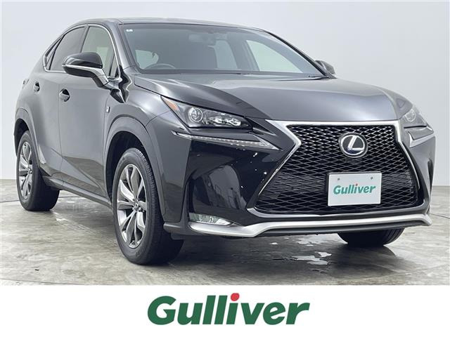 NX300h Fスポーツ