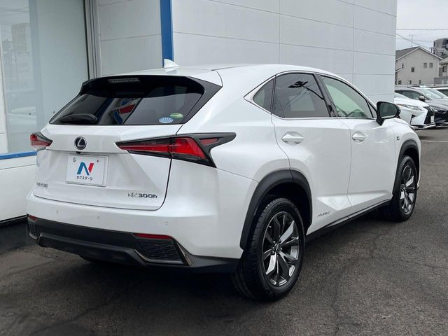 ���S���̃l�N�X�e�[�W���炨���񂹂��\��!�����̓X�܂ɓW�����Ă���N���}���C�ɂȂ�ꍇ���A�Ŋ��̓X�܂ł��������������Ƃ��\�ł�!���񎄂����ɗv�]������������������!���ʓr��p