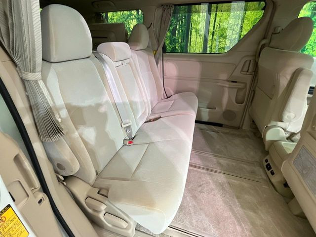 �㕔���Ȃ��C�ɂȂ�悤�ȃL�Y�E�����ւ��蓙�A�傫�ȃ_���[�W�͂Ȃ��A�ǍD�ȏ�Ԃł��B