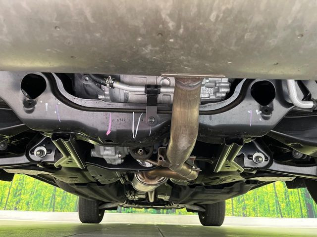 ����肪���ꂢ�Ȃ����ɁA�h�K���H�̎{�H���I�X�X���B�~��n��͂������A���ݕ��ɂ��Z���̕���A��Ń}�����E�E�B���^�[�X�|�[�c���������ɂ��D�]���������Ă���܂��B