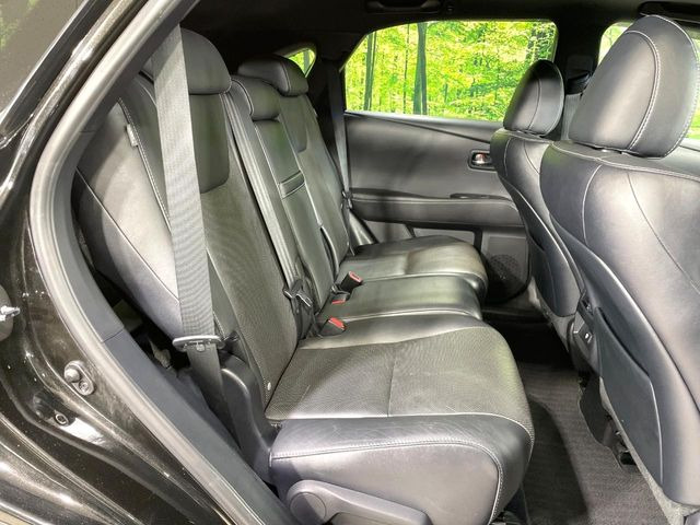 �㕔���Ȃ��C�ɂȂ�悤�ȃL�Y�E�����ւ��蓙�A�傫�ȃ_���[�W�͂Ȃ��A�ǍD�ȏ�Ԃł��B