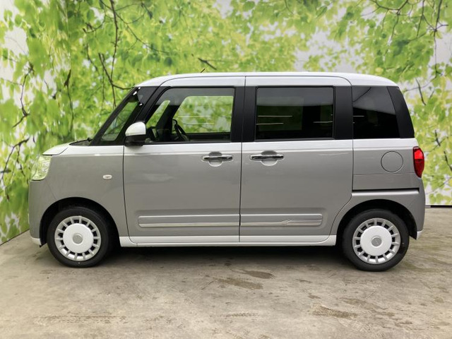 ムーヴキャンバスストライプス G