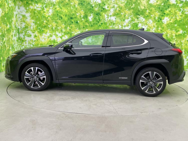 UX250h バージョンL