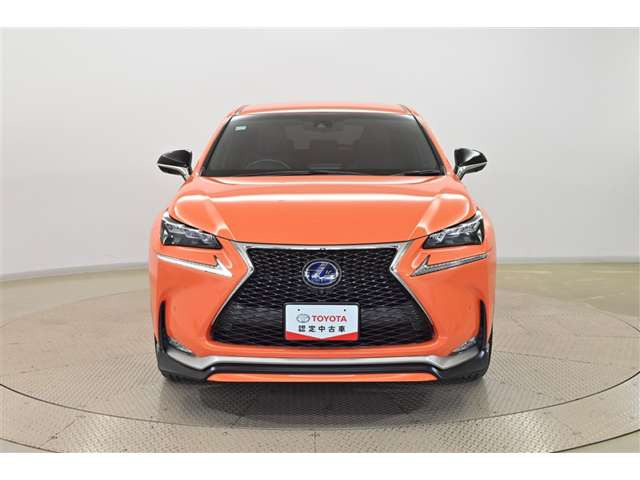 NX300h Fスポーツ