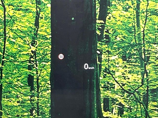 �y�w�b�h�A�b�v�f�B�X�v���C�z���݂̑��x�⑖�s�����f�W�^���\���ŉ^�]�ȑO���̃K���X�ɓ��e!�^�]���A�ڐ������炳���K�v�ȏ����m�F�ł���̂łƂ��Ă��֗��ň��S!