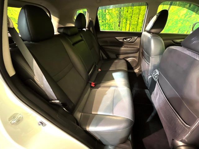 �㕔���Ȃ��C�ɂȂ�悤�ȃL�Y�E�����ւ��蓙�A�傫�ȃ_���[�W�͂Ȃ��A�ǍD�ȏ�Ԃł��B