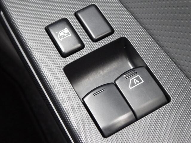 �㕔���Ȃ��傫�ȎC����Ȃ���ԗǍD�ł��B